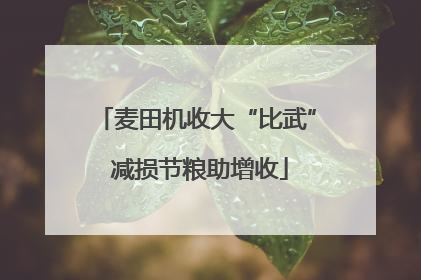 麦田机收大“比武” 减损节粮助增收