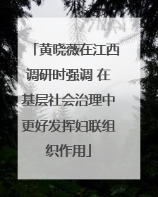 黄晓薇在江西调研时强调 在基层社会治理中更好发挥妇联组织作用