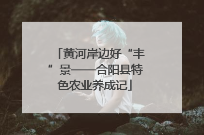 黄河岸边好“丰”景——合阳县特色农业养成记
