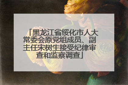 黑龙江省绥化市人大常委会原党组成员、副主任宋树生接受纪律审查和监察调查