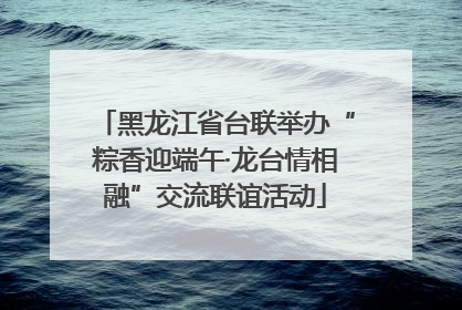 黑龙江省台联举办“粽香迎端午·龙台情相融”交流联谊活动