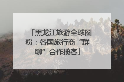 黑龙江旅游全球圈粉：各国旅行商“群聊”合作揽客
