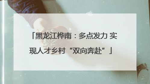 黑龙江桦南：多点发力 实现人才乡村“双向奔赴”
