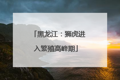 黑龙江：狮虎进入繁殖高峰期