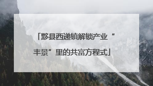 黟县西递镇解锁产业“丰景”里的共富方程式
