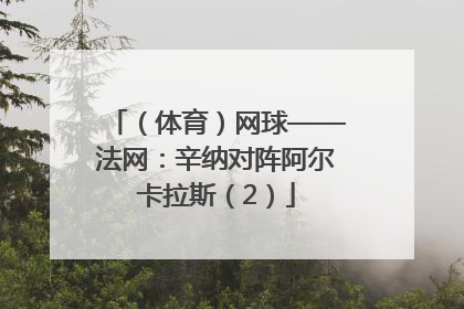 （体育）网球——法网：辛纳对阵阿尔卡拉斯（2）