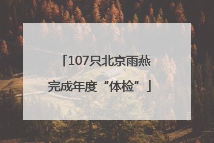 107只北京雨燕完成年度“体检”