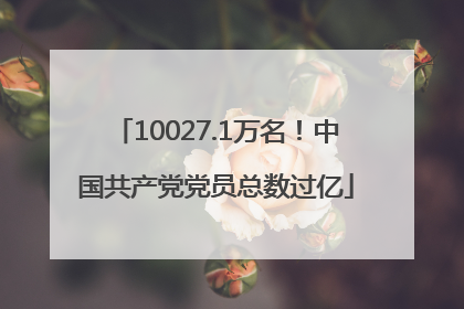 10027.1万名！中国共产党党员总数过亿