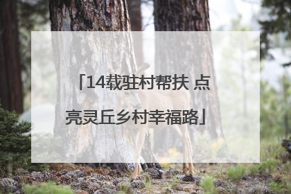 14载驻村帮扶 点亮灵丘乡村幸福路