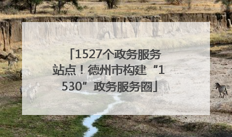 1527个政务服务站点！德州市构建“1530”政务服务圈
