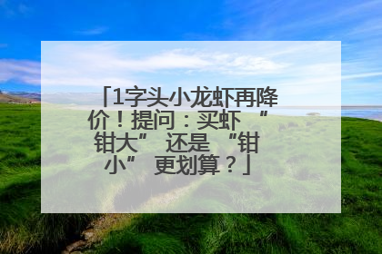 1字头小龙虾再降价！提问：买虾 “钳大” 还是 “钳小” 更划算？
