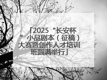 2025“长安杯”小品剧本（征稿）大赛暨创作人才培训班圆满举行