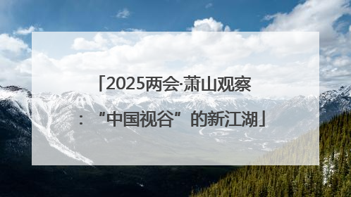 2025两会·萧山观察：“中国视谷”的新江湖