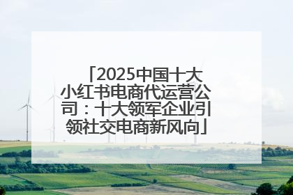2025中国十大小红书电商代运营公司：十大领军企业引领社交电商新风向