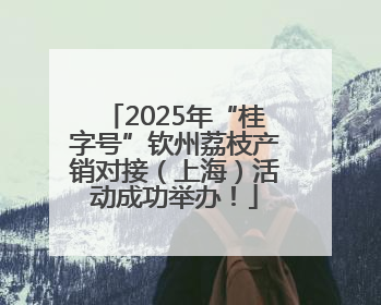 2025年“桂字号”钦州荔枝产销对接（上海）活动成功举办！