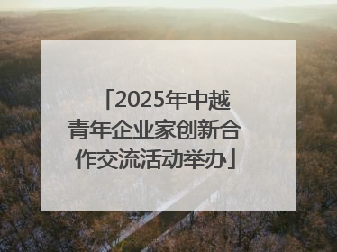 2025年中越青年企业家创新合作交流活动举办