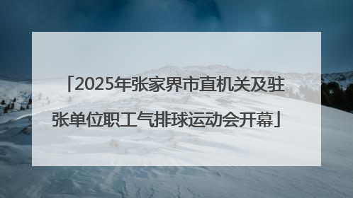 2025年张家界市直机关及驻张单位职工气排球运动会开幕