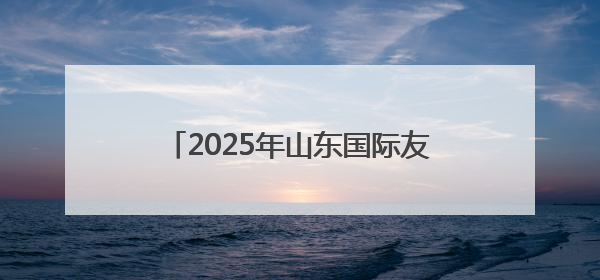 2025年山东国际友好城市合作与发展大会暨印尼楠榜省·山东省招商交流会在济南槐荫举行
