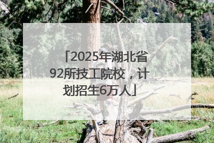 2025年湖北省92所技工院校，计划招生6万人