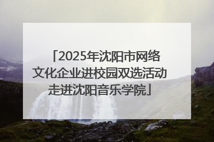 2025年沈阳市网络文化企业进校园双选活动走进沈阳音乐学院