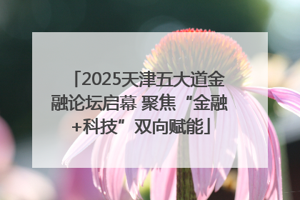 2025天津五大道金融论坛启幕 聚焦“金融+科技”双向赋能