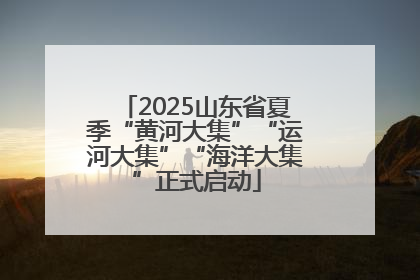 2025山东省夏季“黄河大集”“运河大集”“海洋大集”正式启动