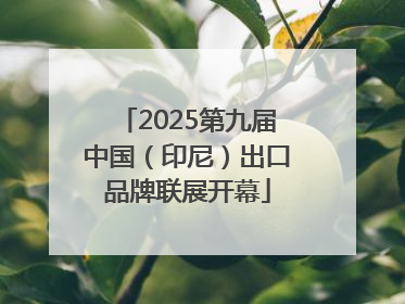2025第九届中国（印尼）出口品牌联展开幕