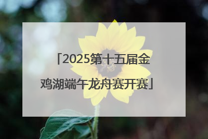 2025第十五届金鸡湖端午龙舟赛开赛