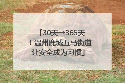 30天→365天！温州鹿城五马街道让安全成为习惯