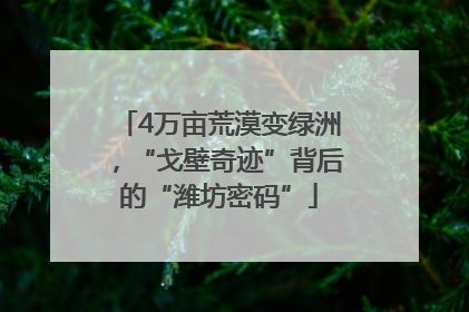 4万亩荒漠变绿洲，“戈壁奇迹”背后的“潍坊密码”