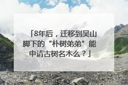 8年后，迁移到吴山脚下的“朴树弟弟”能申请古树名木么？