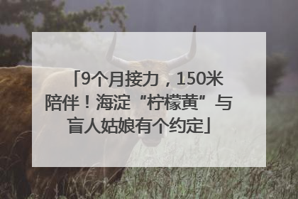9个月接力，150米陪伴！海淀“柠檬黄”与盲人姑娘有个约定