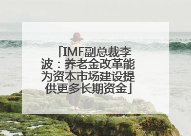 IMF副总裁李波：养老金改革能为资本市场建设提供更多长期资金
