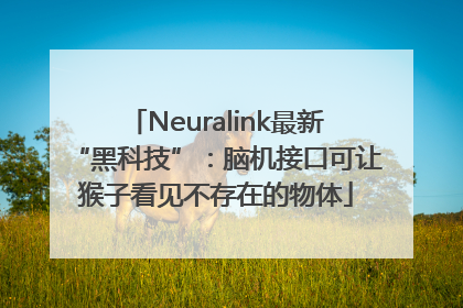 Neuralink最新“黑科技”：脑机接口可让猴子看见不存在的物体