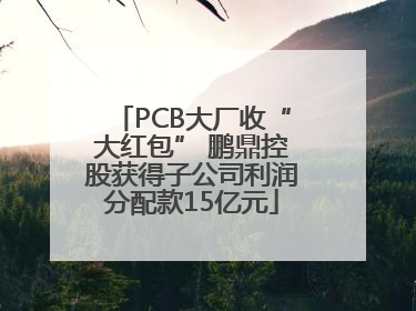 PCB大厂收“大红包” 鹏鼎控股获得子公司利润分配款15亿元