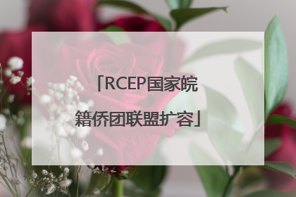 RCEP国家皖籍侨团联盟扩容